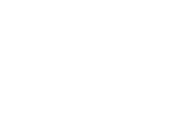 Bureau Veritas Logo