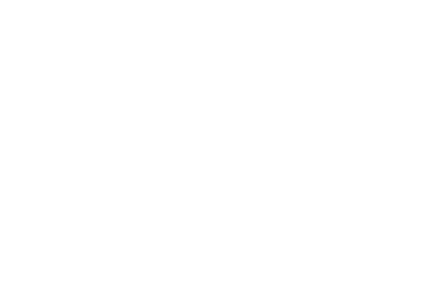 Danish Maritime Authority Logo