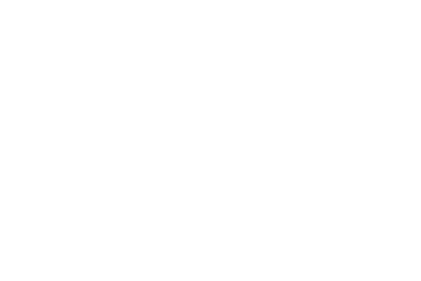 Swedish Maritime Association Logo